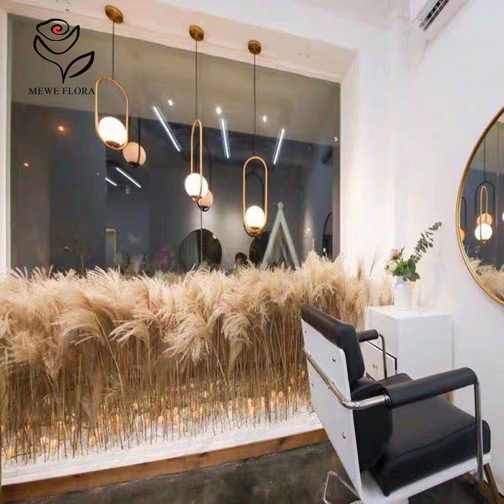 200PCS 자연 건조 푹신한 갈대 꽃 꽃다발 상점 창 - Interior Design Apartment 리뷰 및 가격